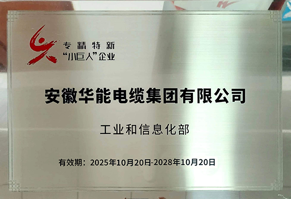 专精特新&ldquo;小巨人&rdquo;企业称号
